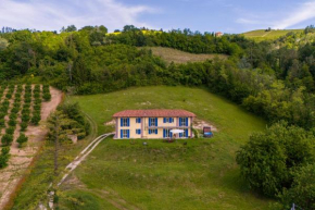 Country house in the Langhe with vineyard